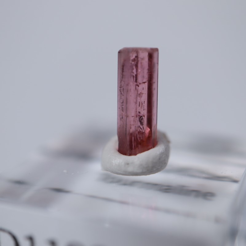 ���󥴻����ȥ�ޥ��