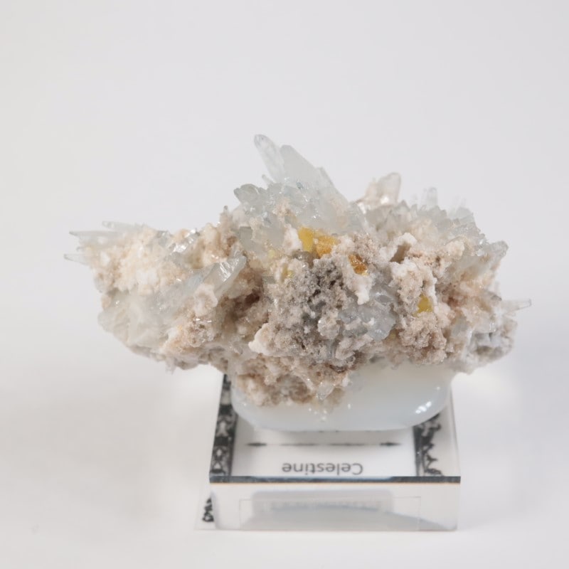 �����ꥢ�� ���쥹�ƥ���