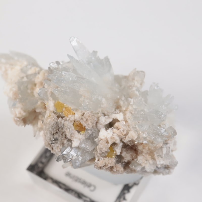 �����ꥢ�� ���쥹�ƥ���