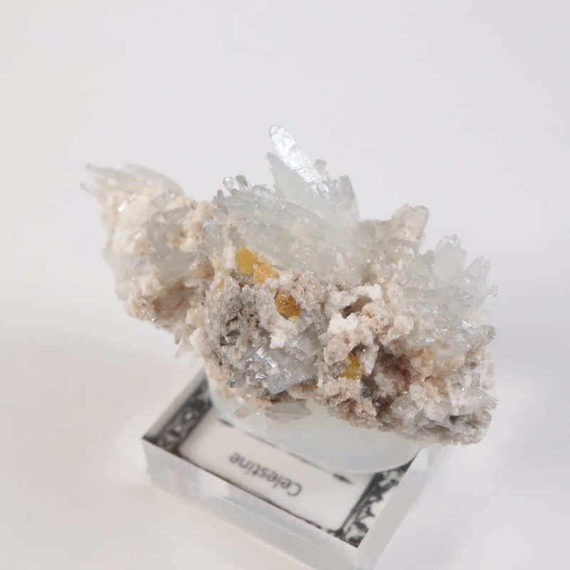 �����ꥢ�� ���쥹�ƥ���