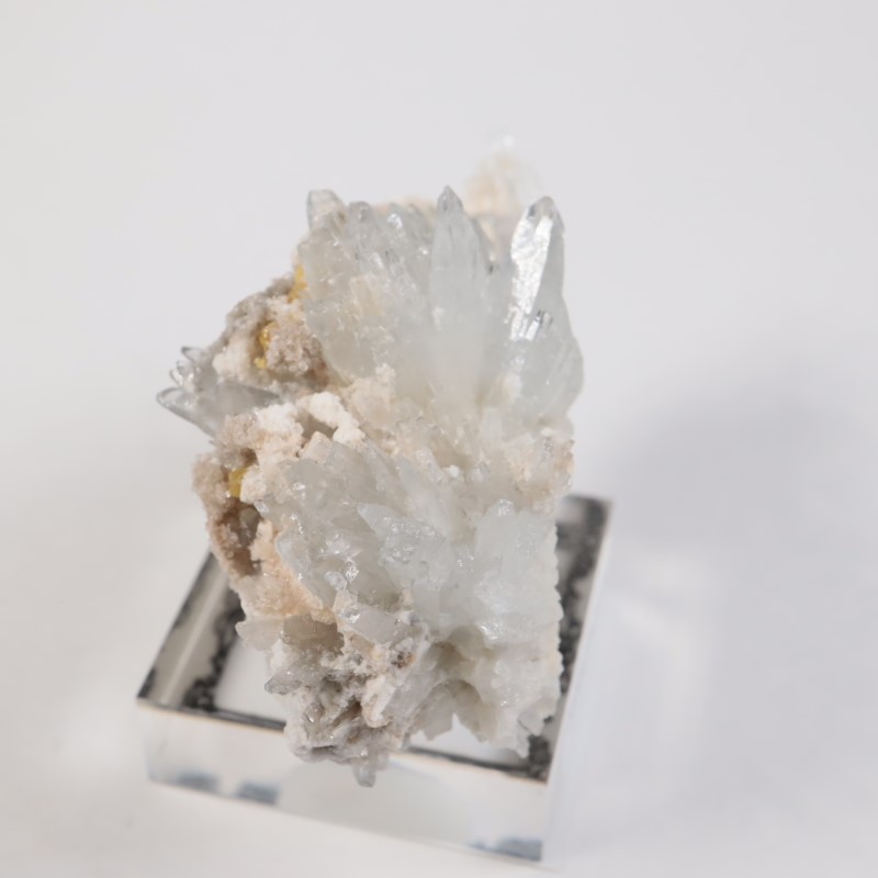 �����ꥢ�� ���쥹�ƥ���