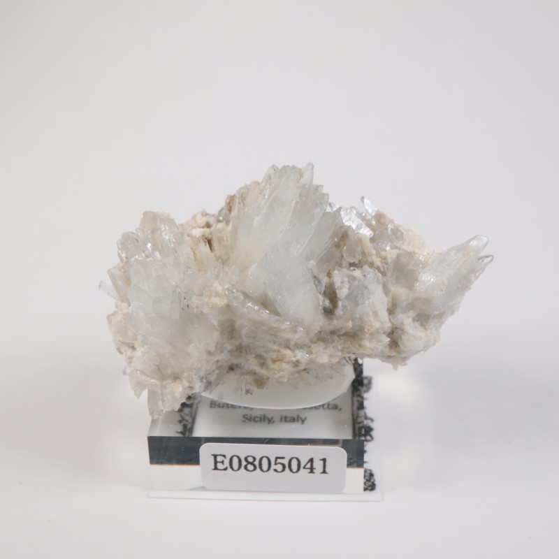 �����ꥢ�� ���쥹�ƥ���