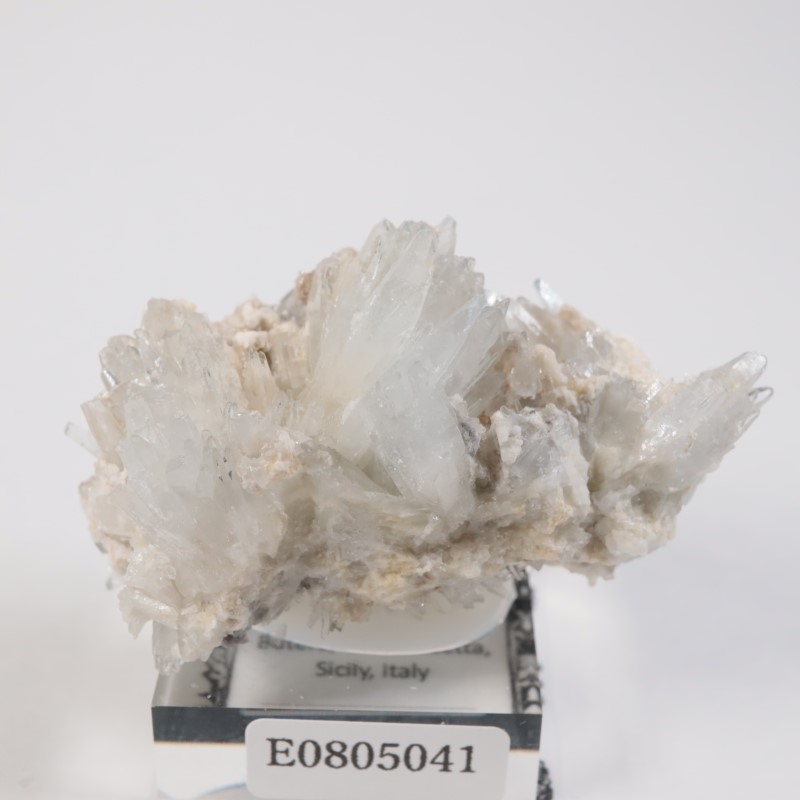 �����ꥢ�� ���쥹�ƥ���