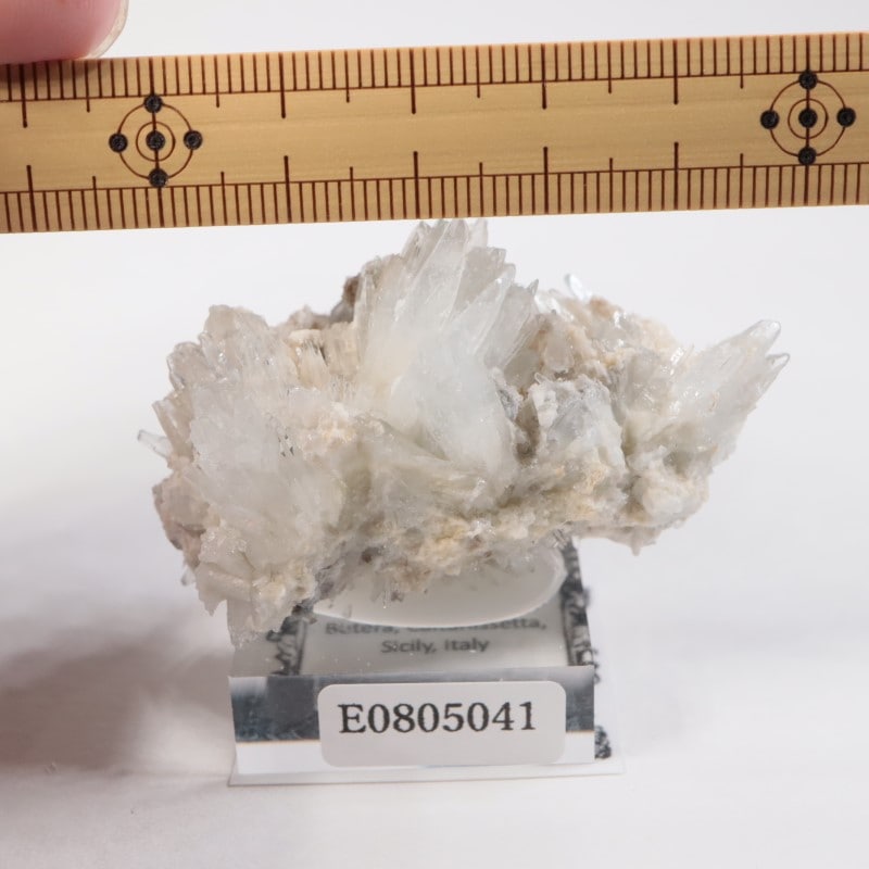 �����ꥢ�� ���쥹�ƥ���