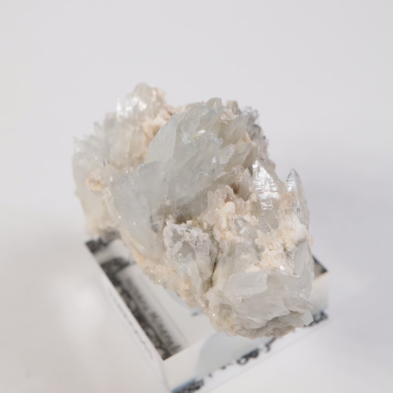 �����ꥢ�� ���쥹�ƥ���