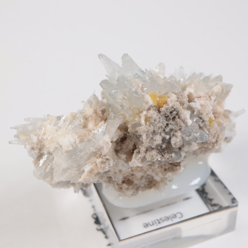 �����ꥢ�� ���쥹�ƥ���