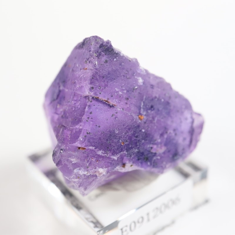 アメリカ イリノイ産 フローライト 蛍石 鉱物標本 原石 イリノイ州産 フローライト | 鉱物標本,ハ行,フローライト/蛍石