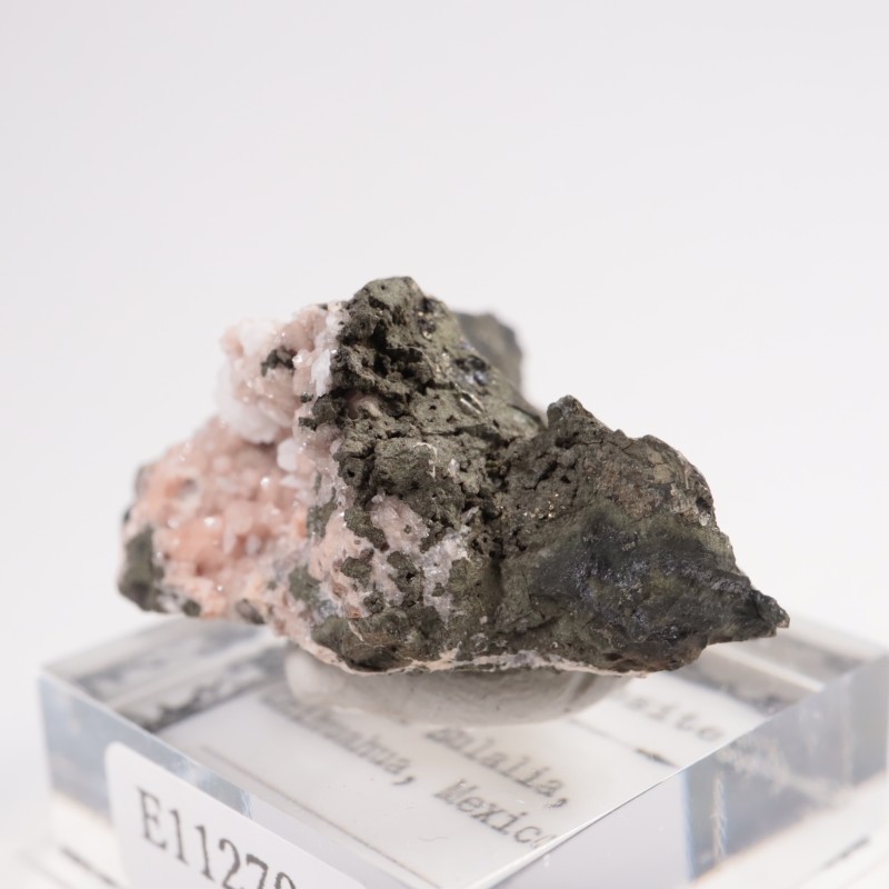 �ᥭ������ �����ɥ���������