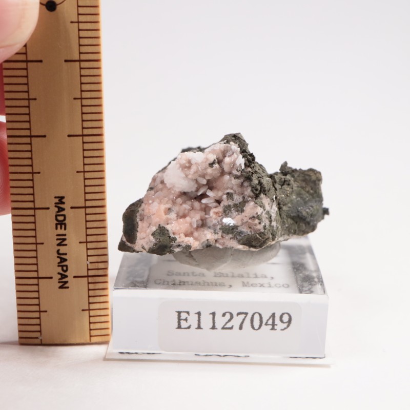 �ᥭ������ �����ɥ���������