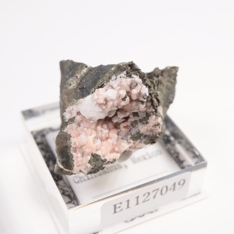 �ᥭ������ �����ɥ���������