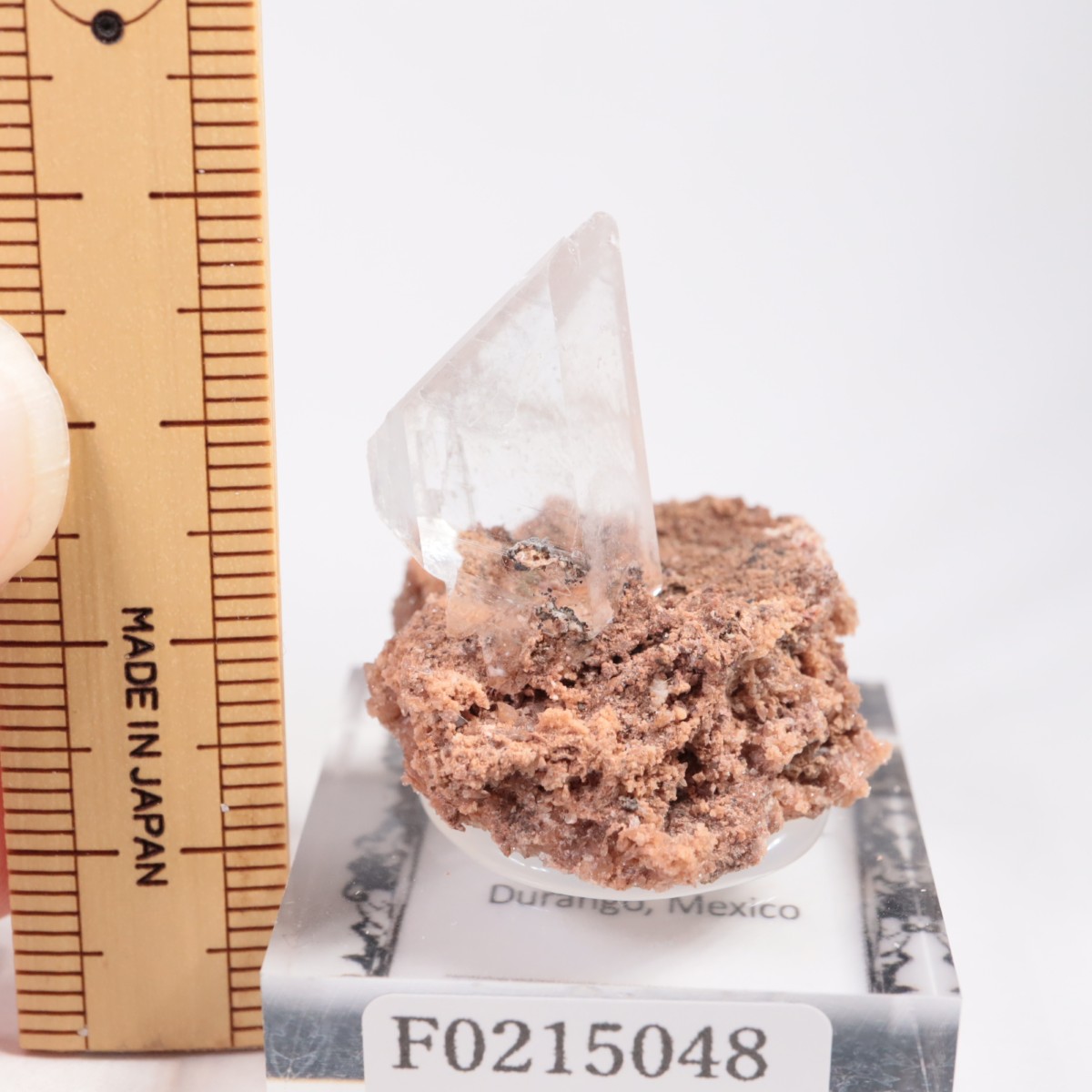 �ᥭ������ ����ʥ���