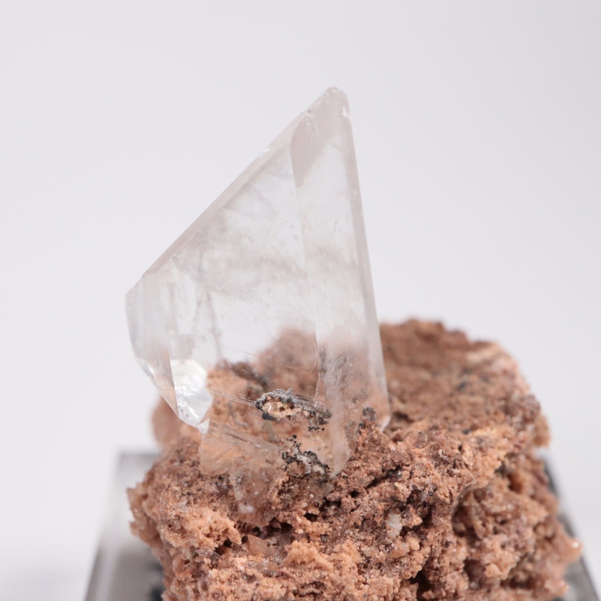 �ᥭ������ ����ʥ���