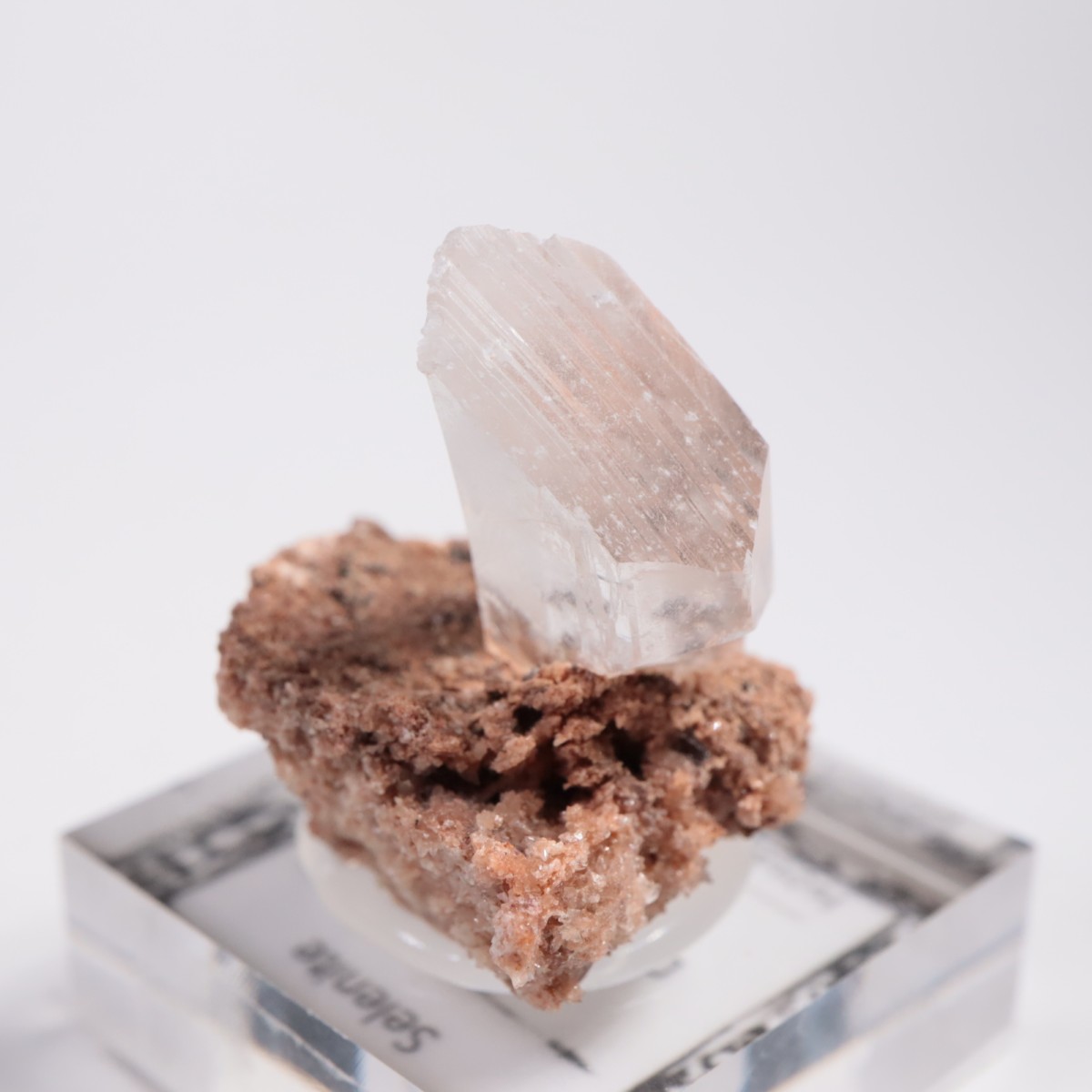 �ᥭ������ ����ʥ���