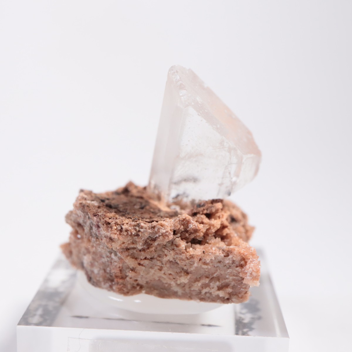 �ᥭ������ ����ʥ���