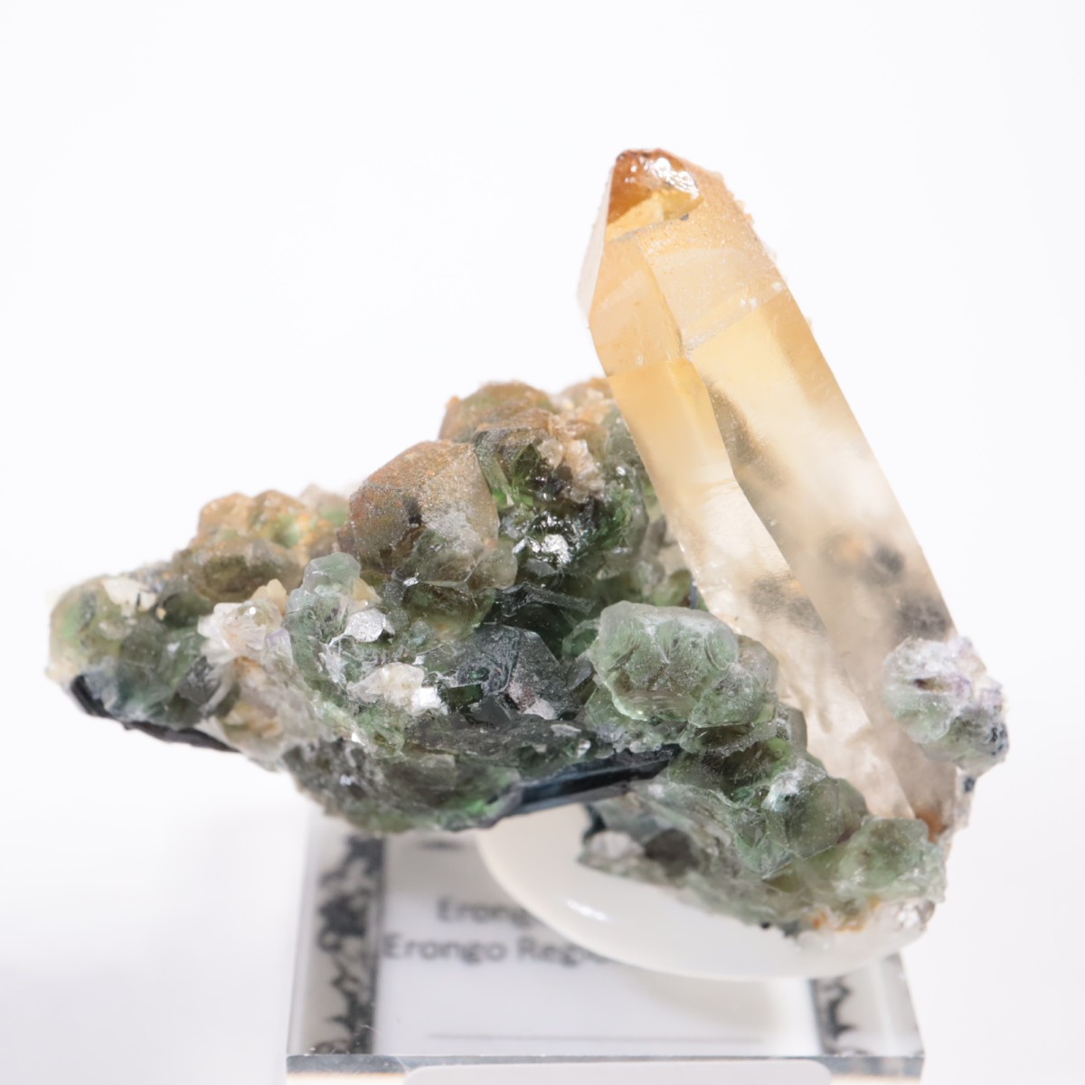 �����󥴹ۻ� �ե����饤�ȡ���������