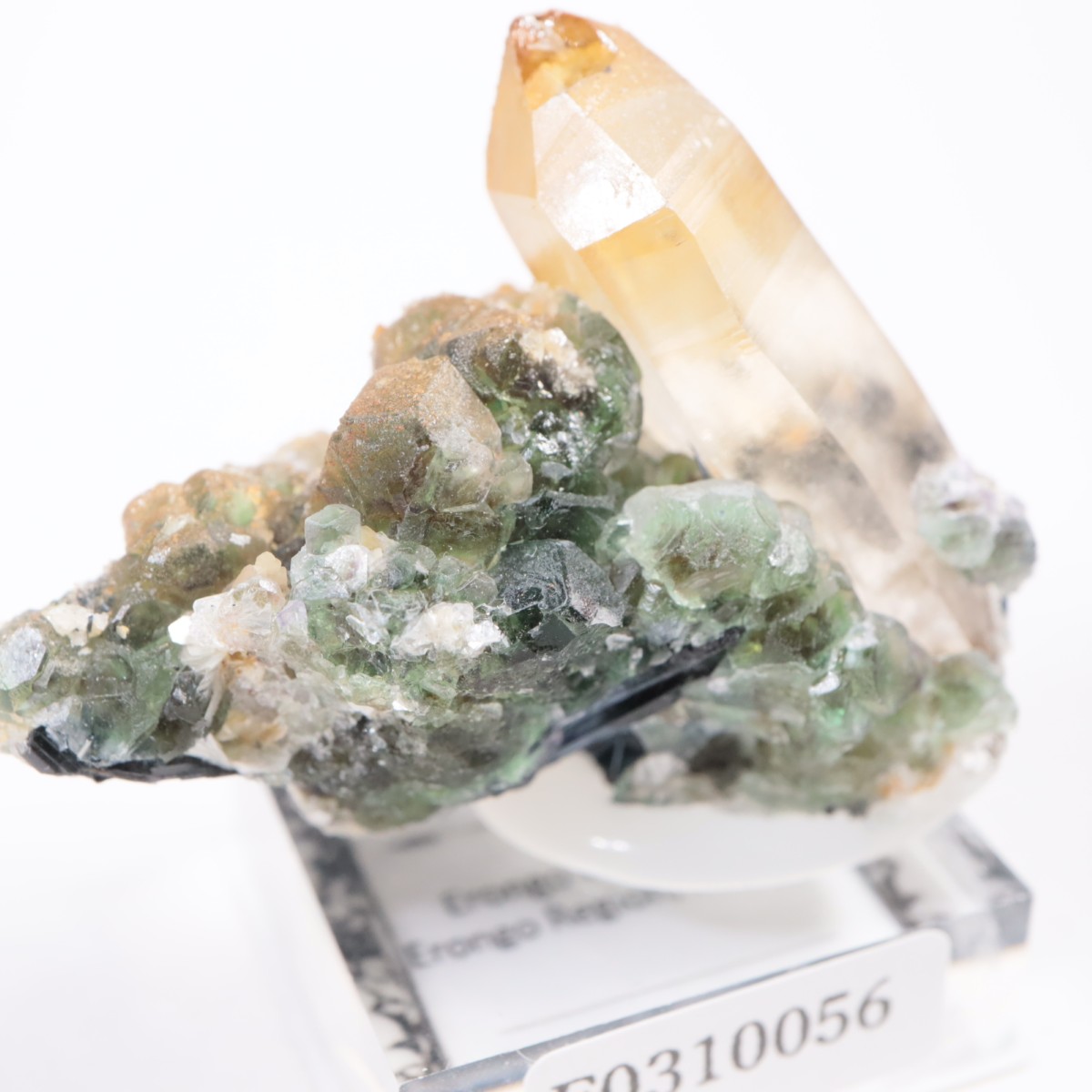 �����󥴹ۻ� �ե����饤�ȡ���������