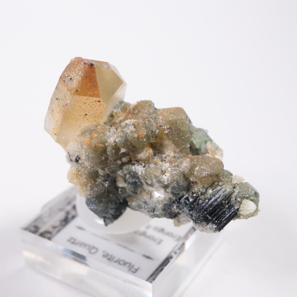 �����󥴹ۻ� �ե����饤�ȡ���������