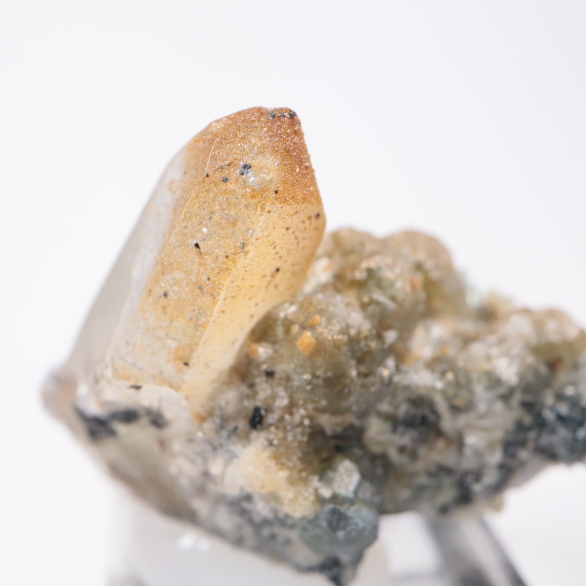 �����󥴹ۻ� �ե����饤�ȡ���������