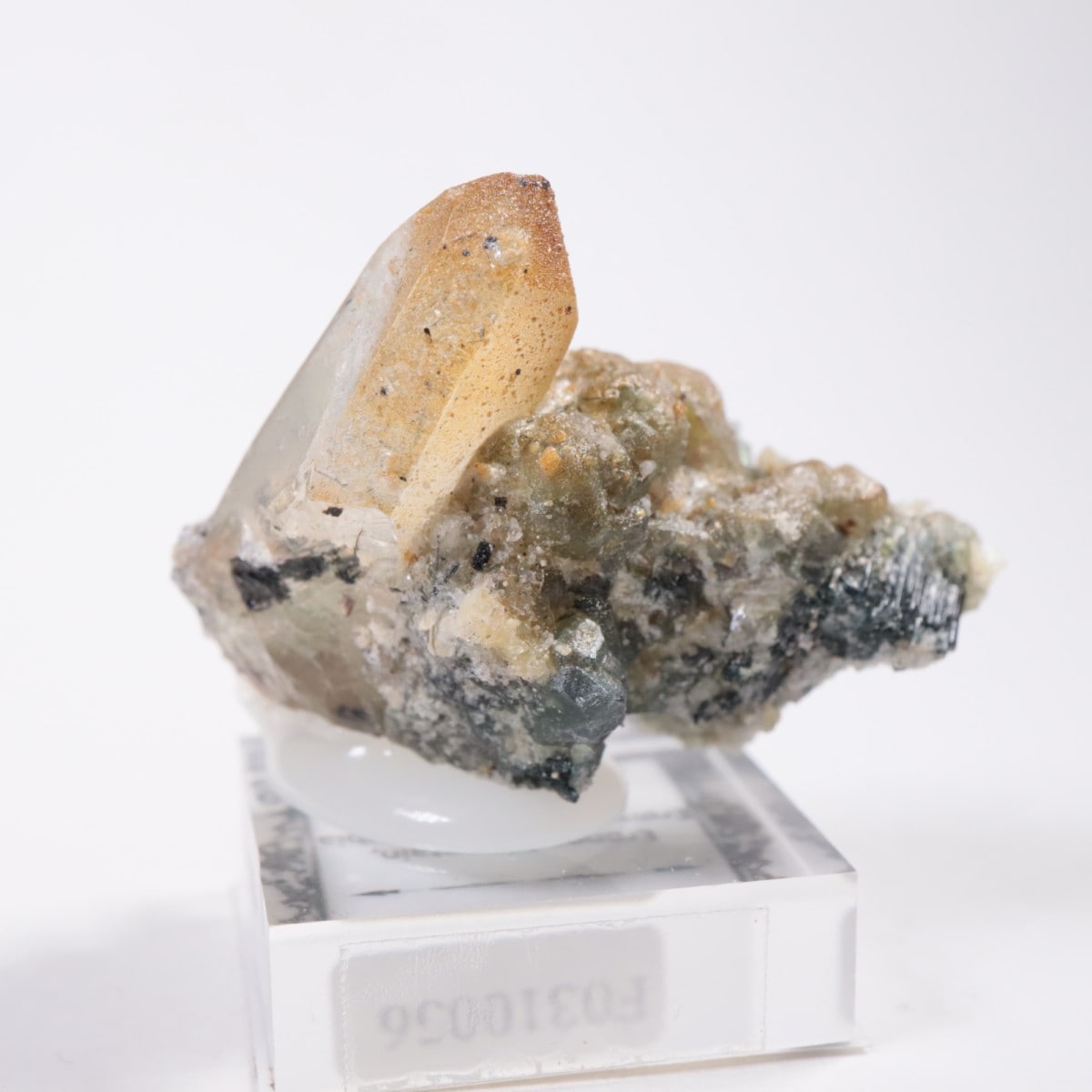 �����󥴹ۻ� �ե����饤�ȡ���������