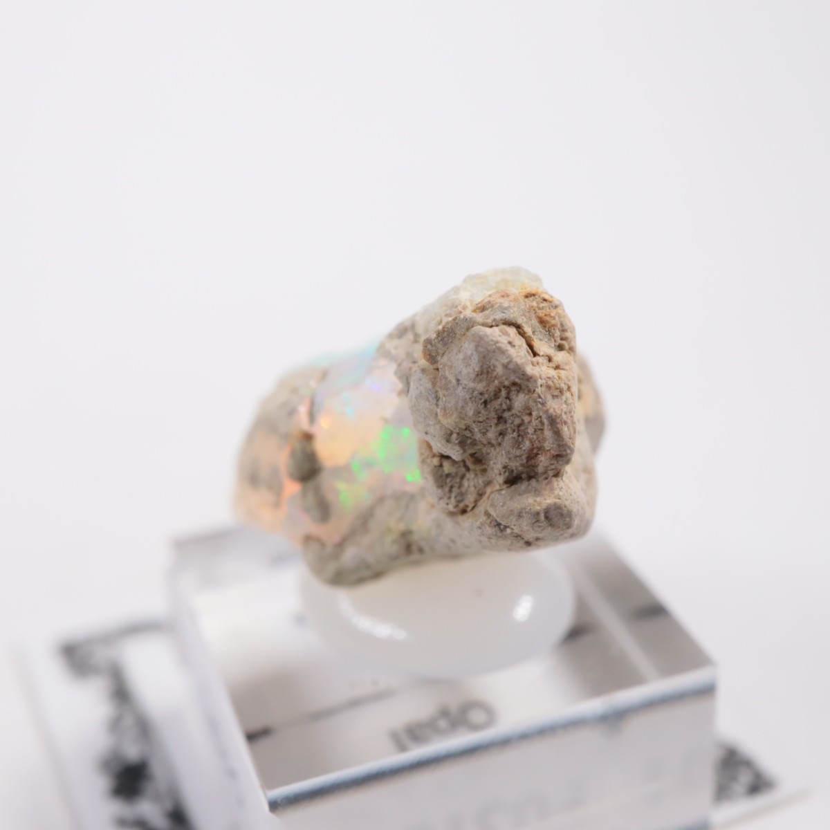 �������ԥ��� ���ѡ���