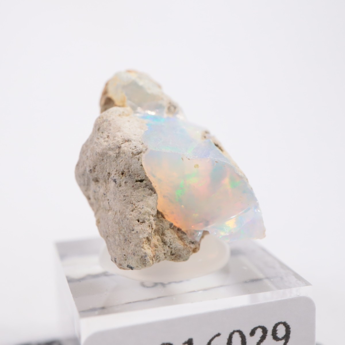 �������ԥ��� ���ѡ���