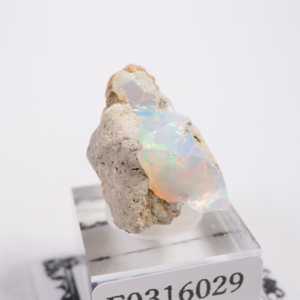 �������ԥ��� ���ѡ���