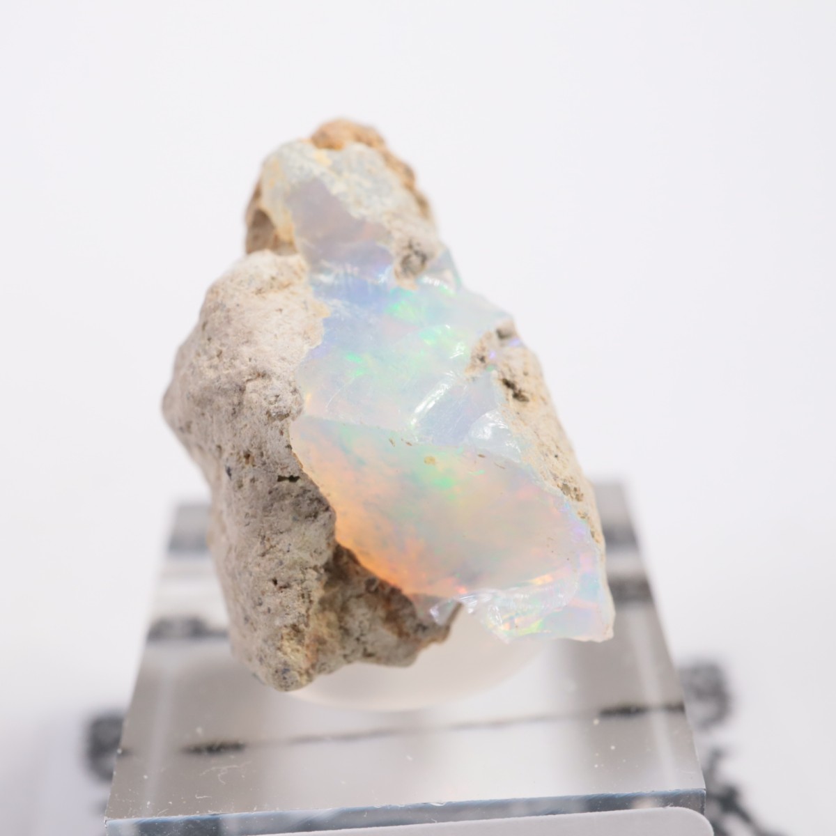 �������ԥ��� ���ѡ���