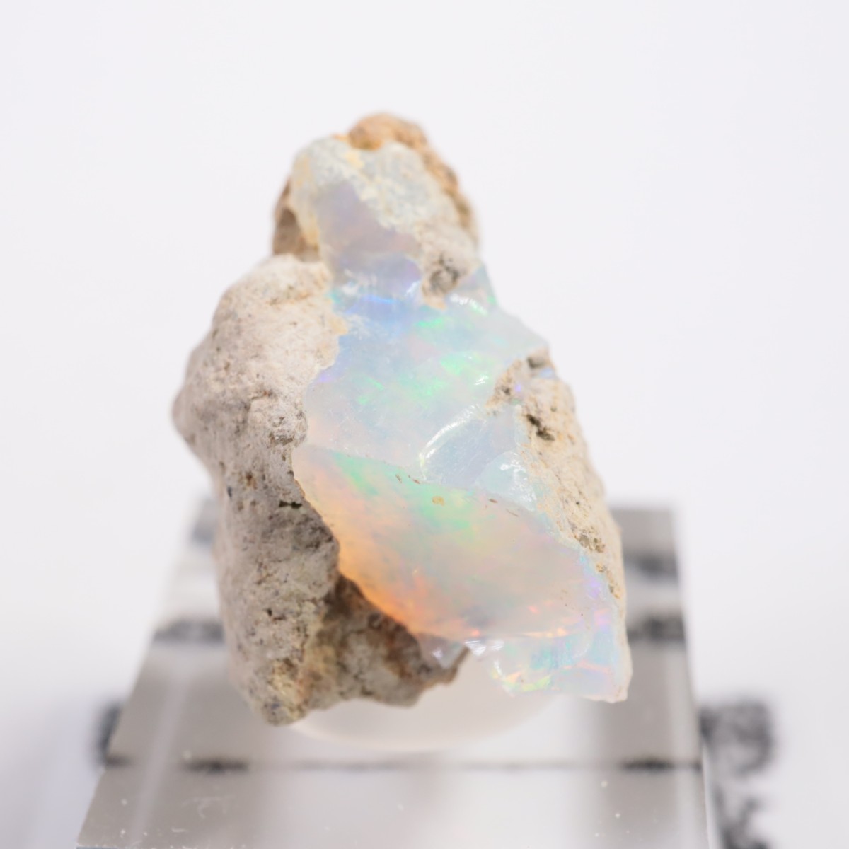 �������ԥ��� ���ѡ���