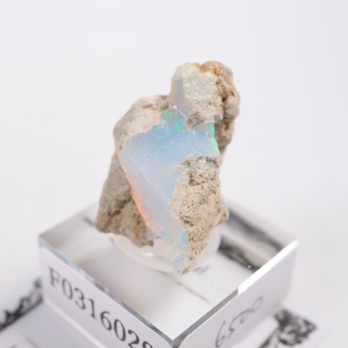 �������ԥ��� ���ѡ���