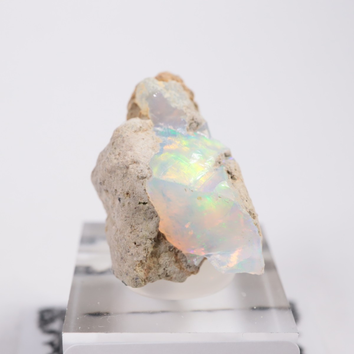 �������ԥ��� ���ѡ���