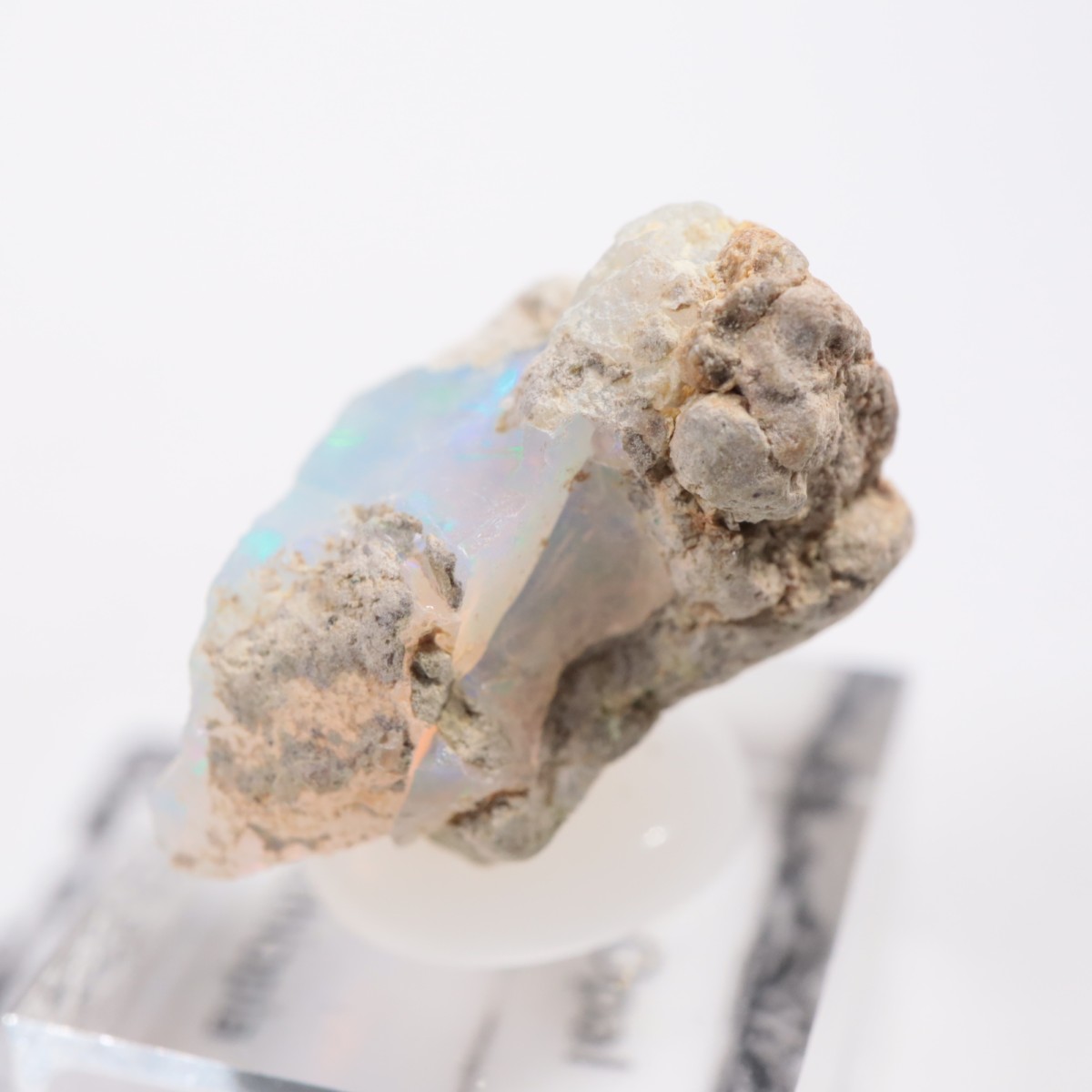 �������ԥ��� ���ѡ���