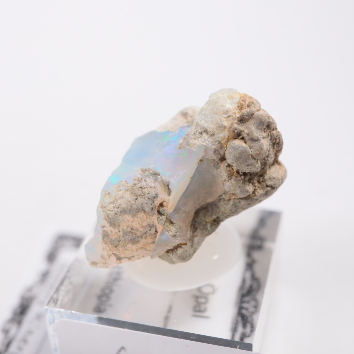 �������ԥ��� ���ѡ���