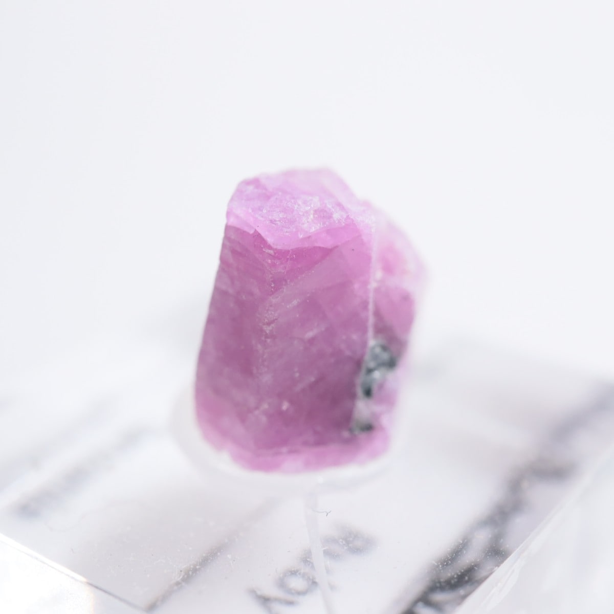 ���󥶥˥��� ��ӡ�