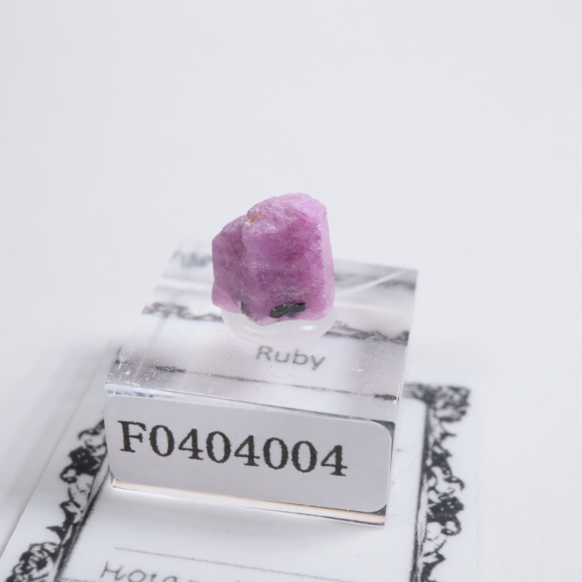 ���󥶥˥��� ��ӡ�