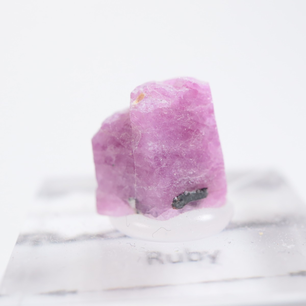 ���󥶥˥��� ��ӡ�