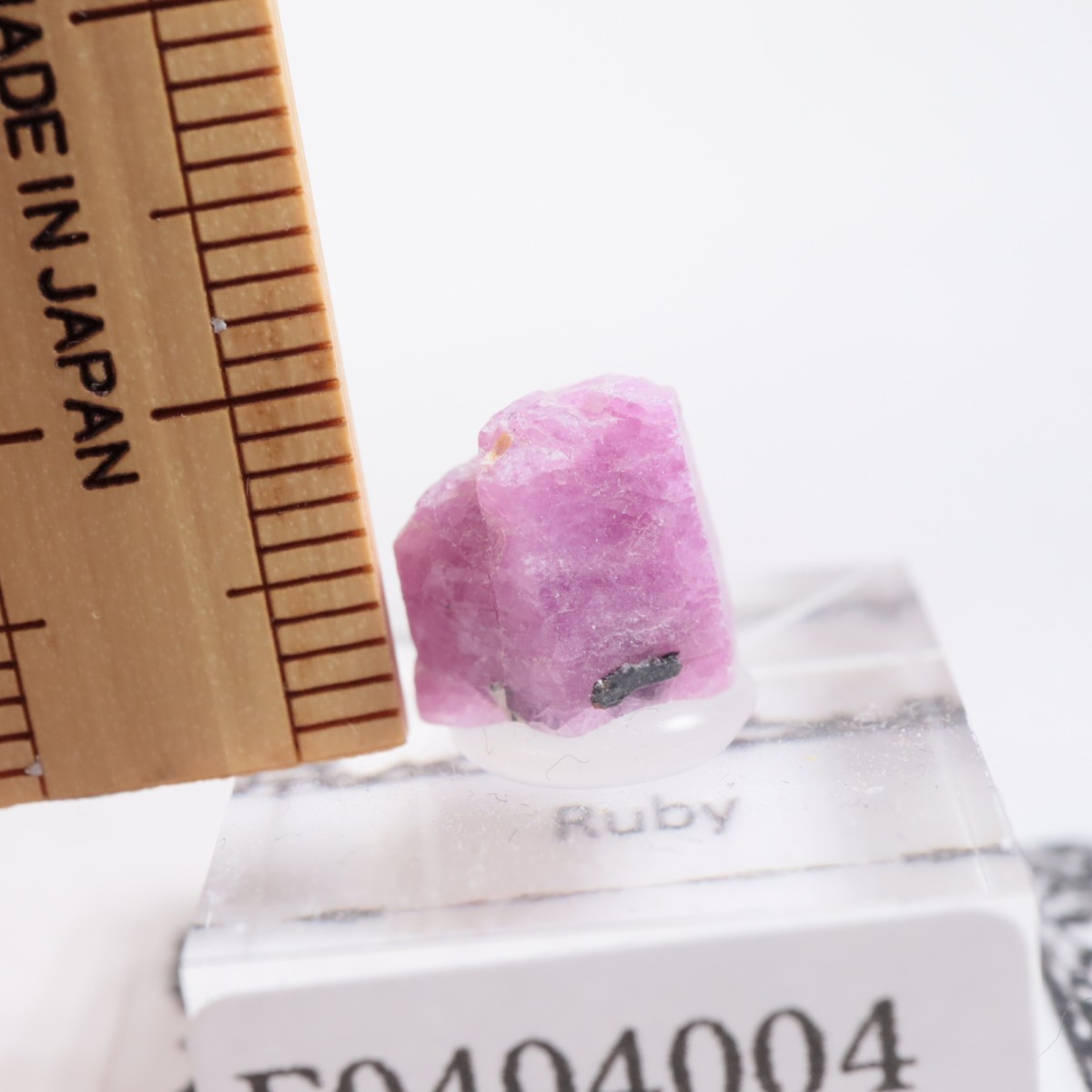 ���󥶥˥��� ��ӡ�