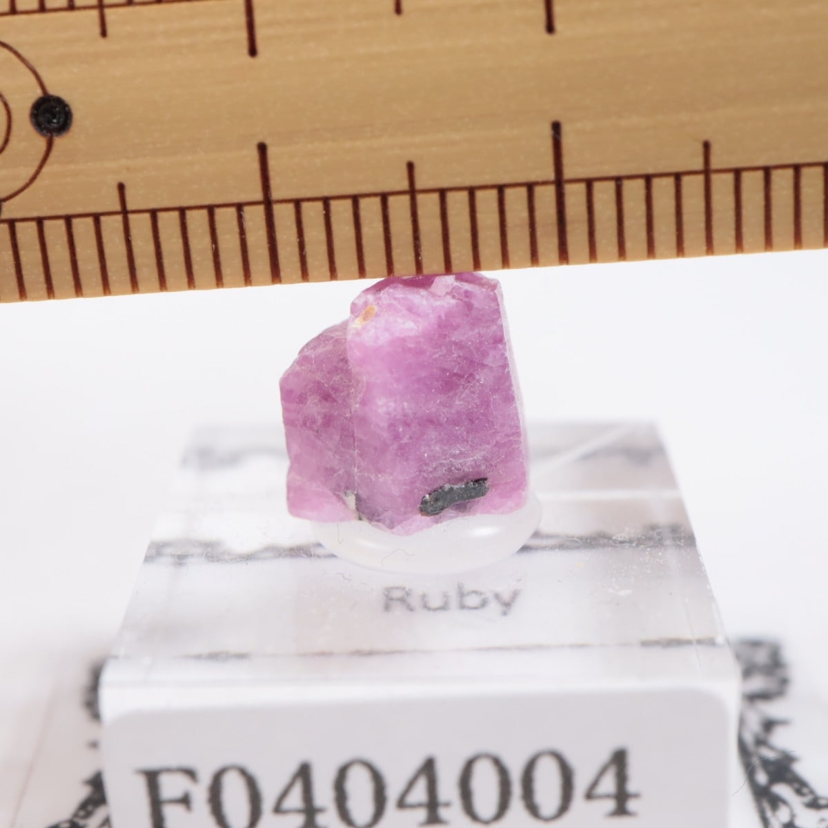 ���󥶥˥��� ��ӡ�