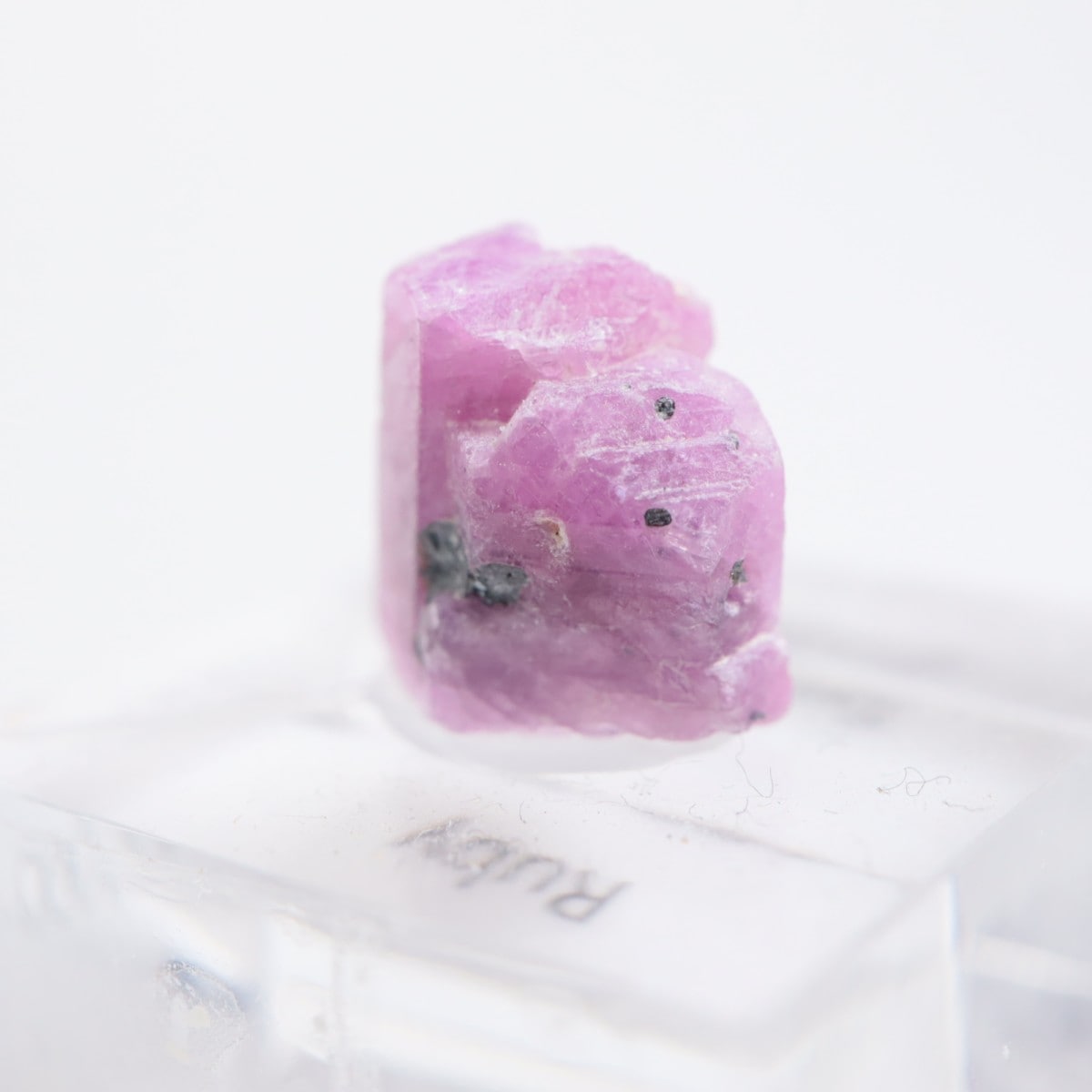 ���󥶥˥��� ��ӡ�