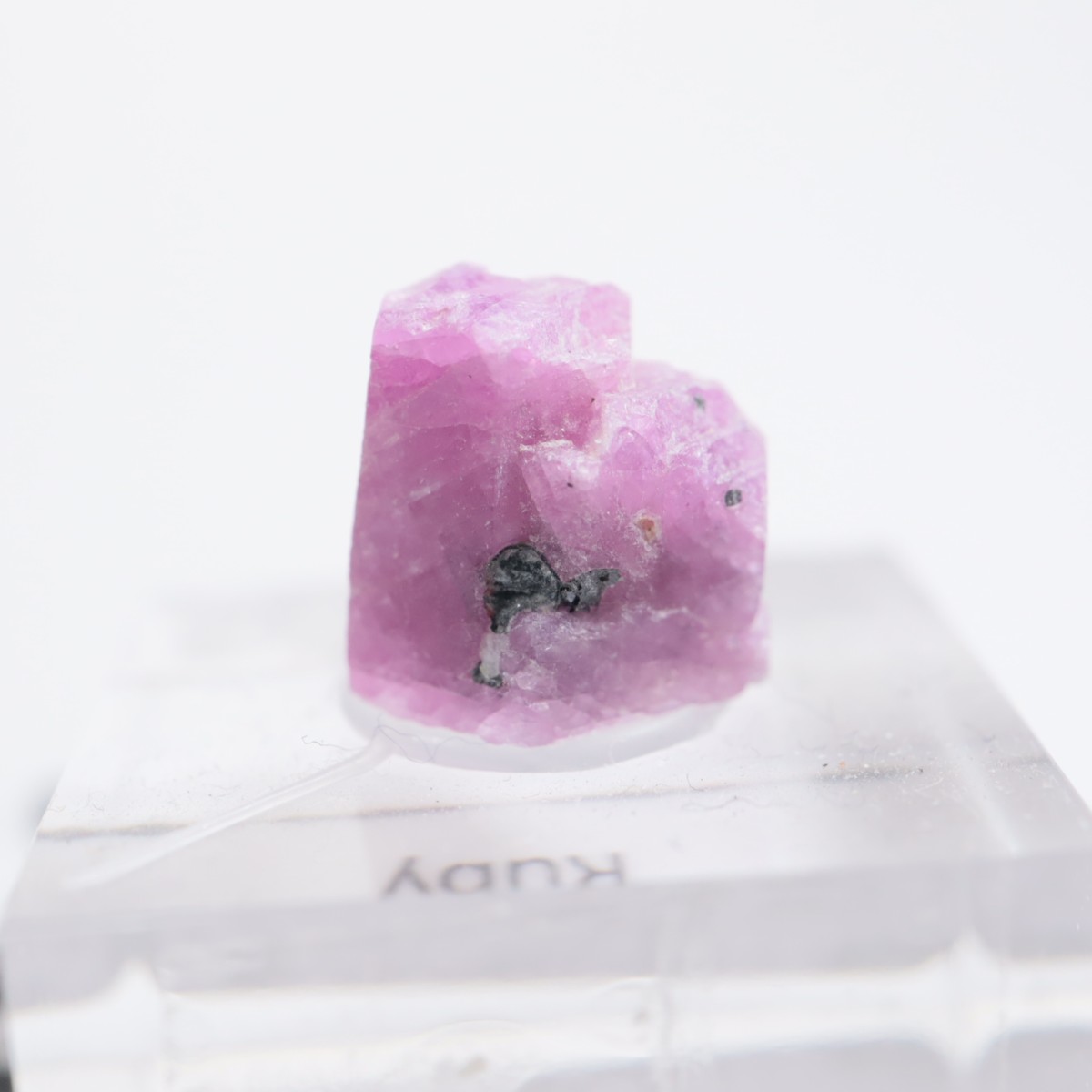 ���󥶥˥��� ��ӡ�