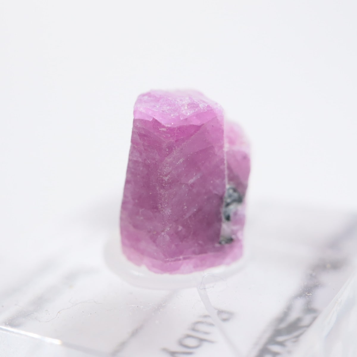 ���󥶥˥��� ��ӡ�