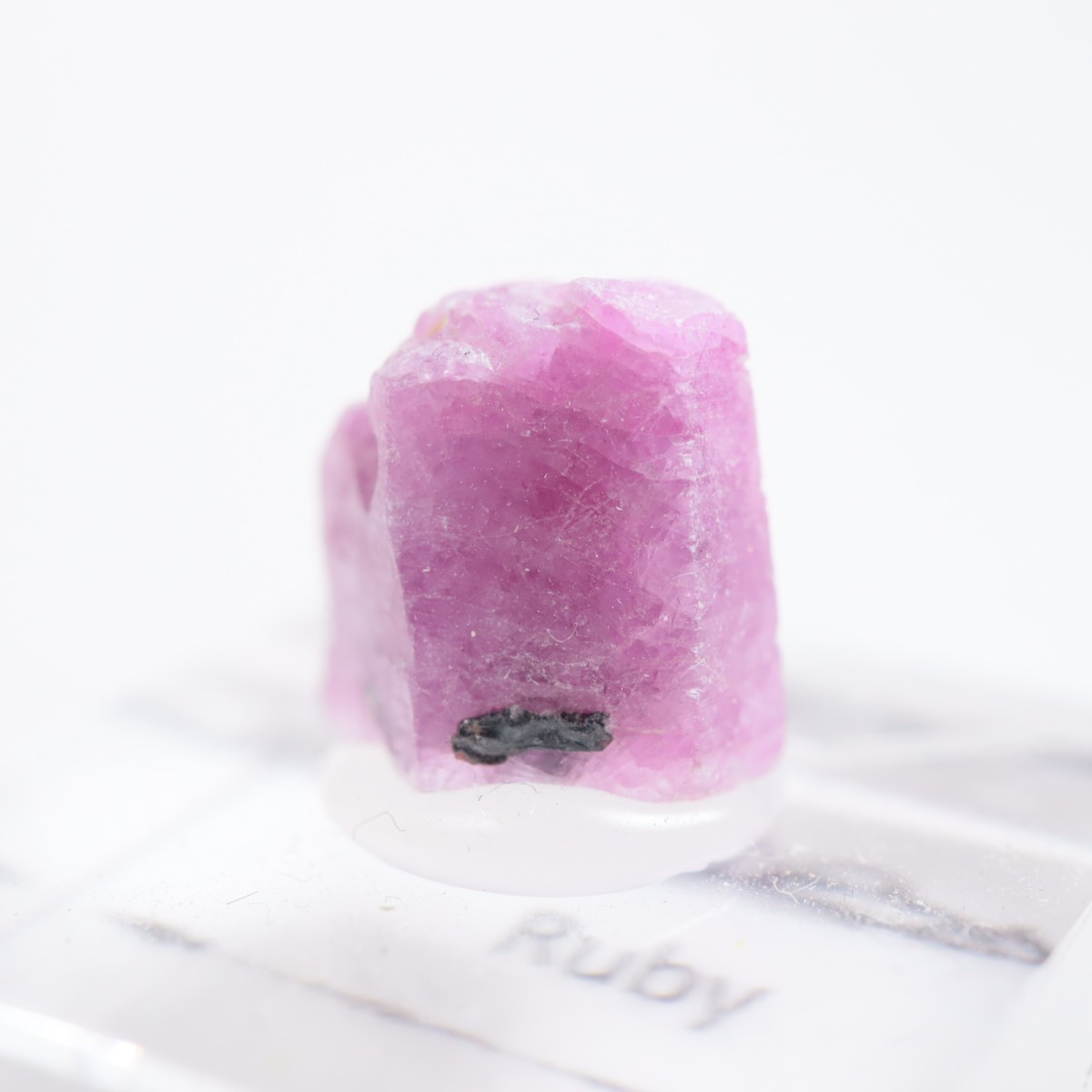 ���󥶥˥��� ��ӡ�