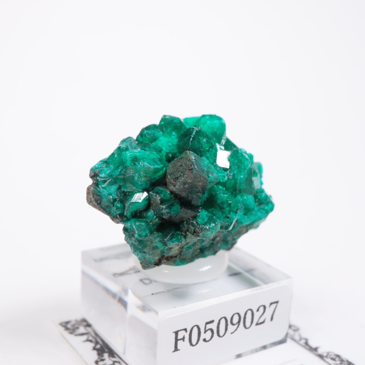 ���󥴻� �������ץơ���