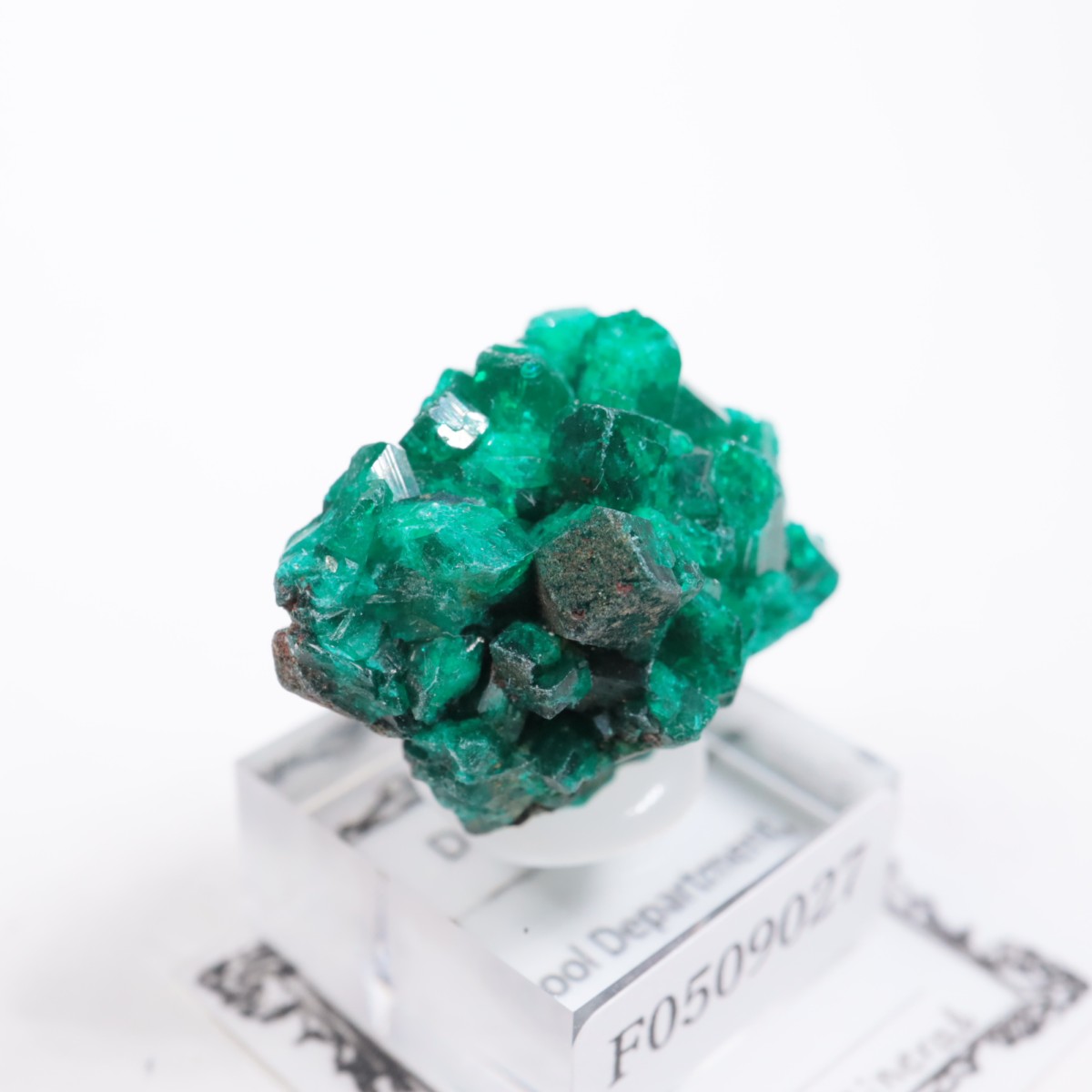 ���󥴻� �������ץơ���