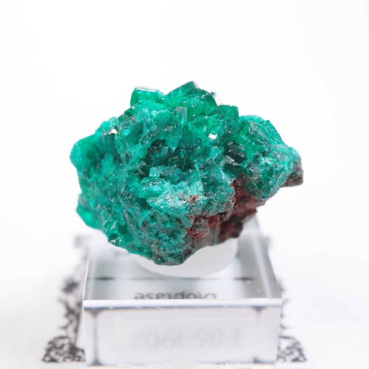 ���󥴻� �������ץơ���