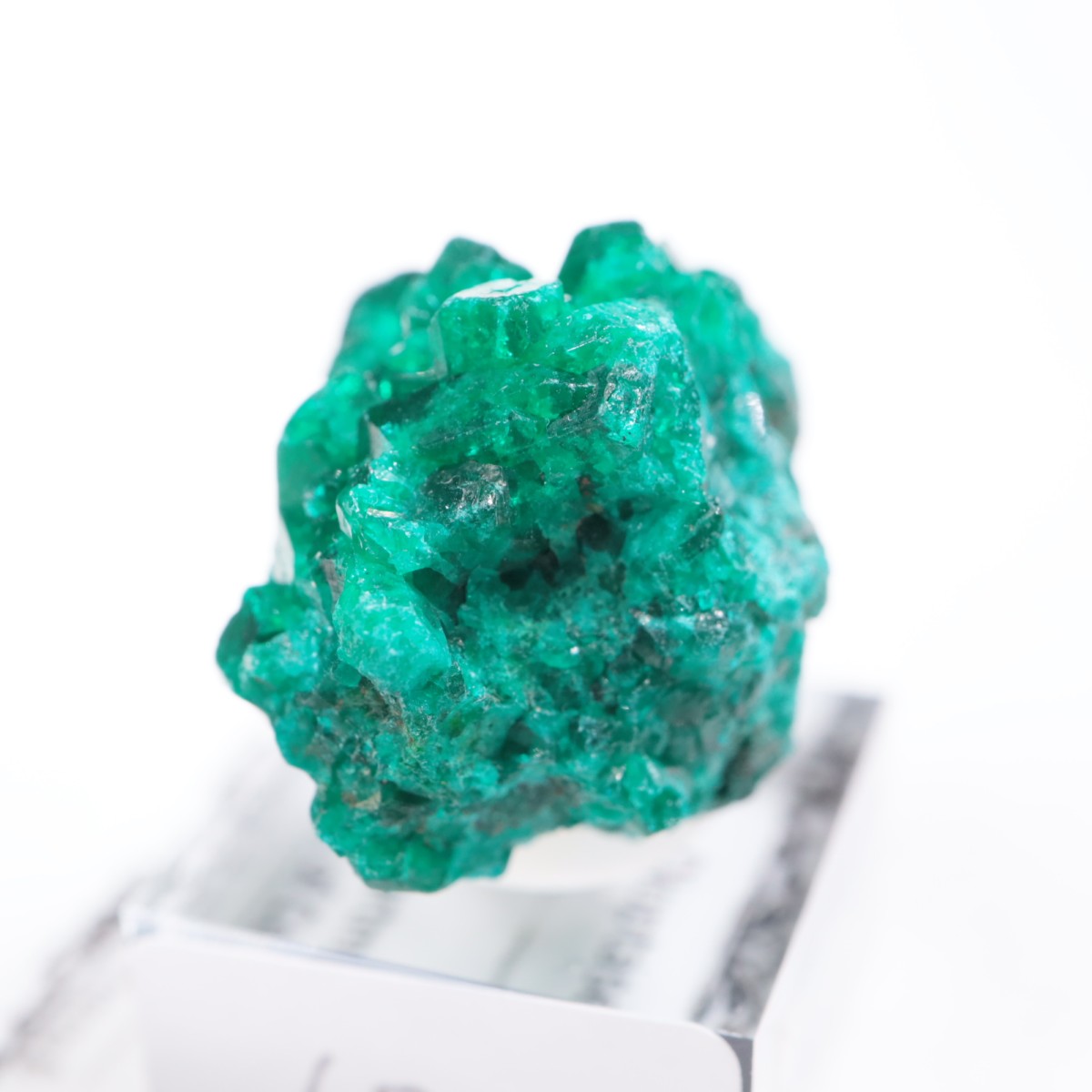 ���󥴻� �������ץơ���