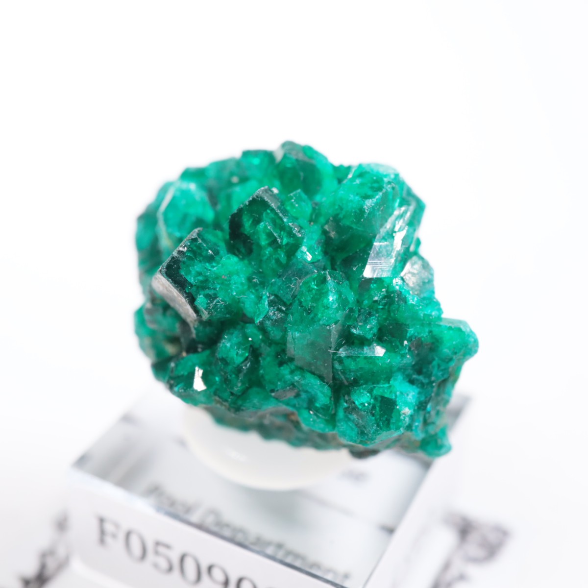 ���󥴻� �������ץơ���