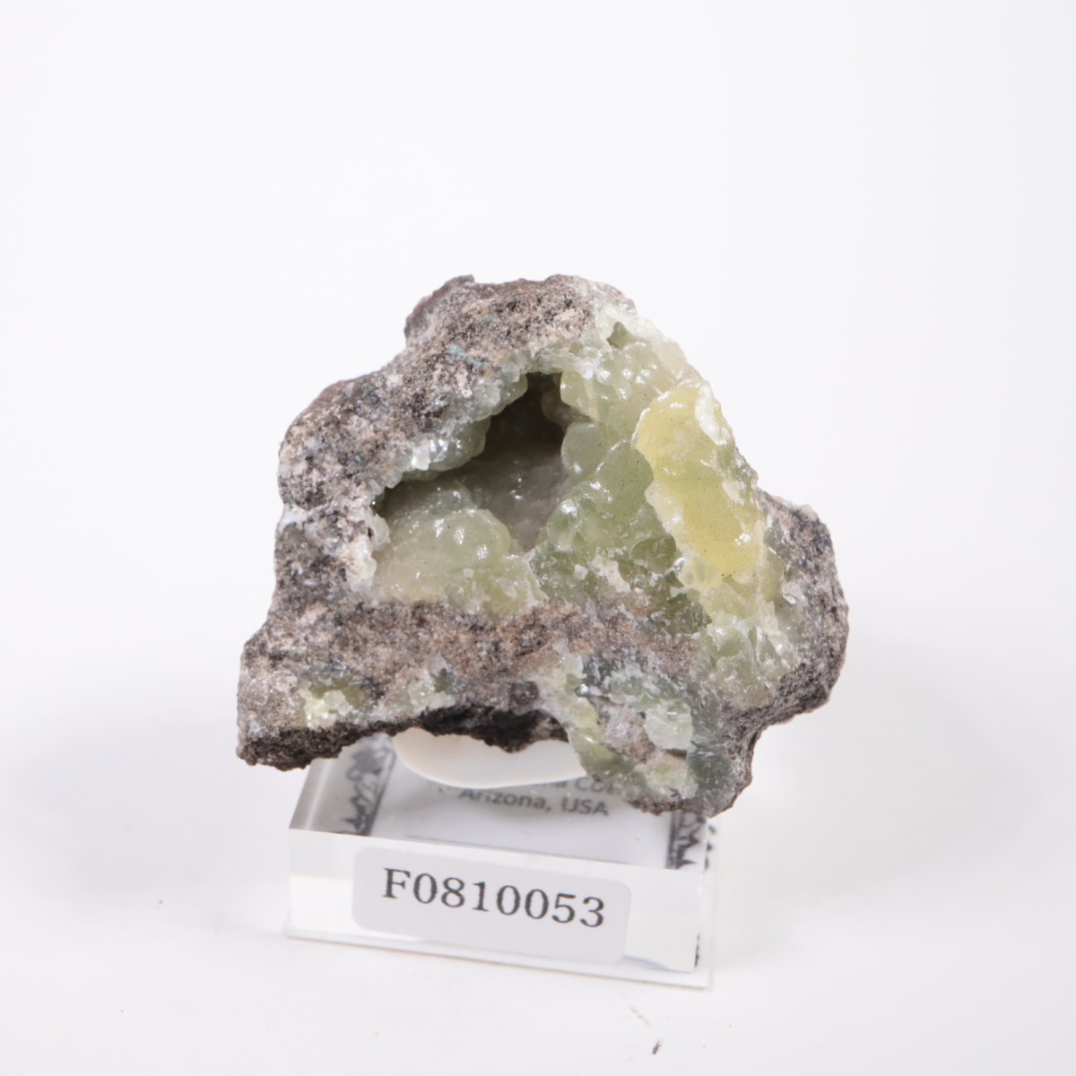 ���꥾�ʽ� ���ߥ��ʥ���