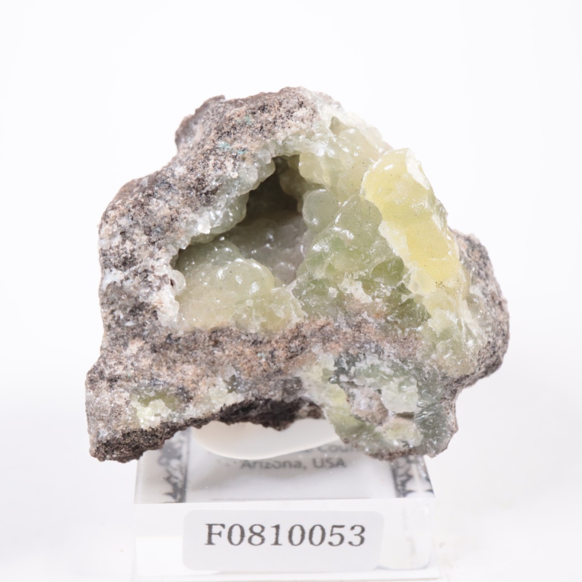 ���꥾�ʽ� ���ߥ��ʥ���