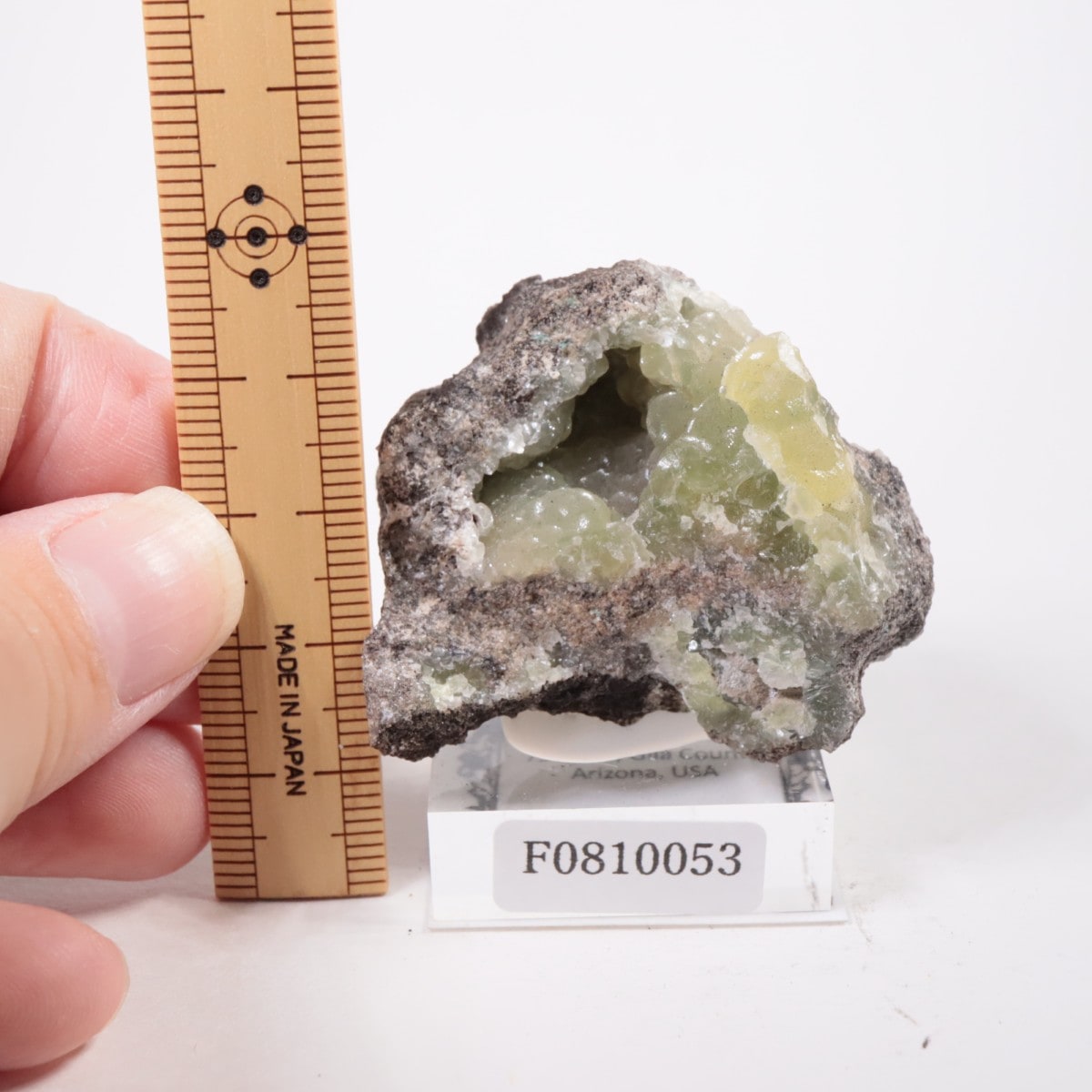 ���꥾�ʽ� ���ߥ��ʥ���