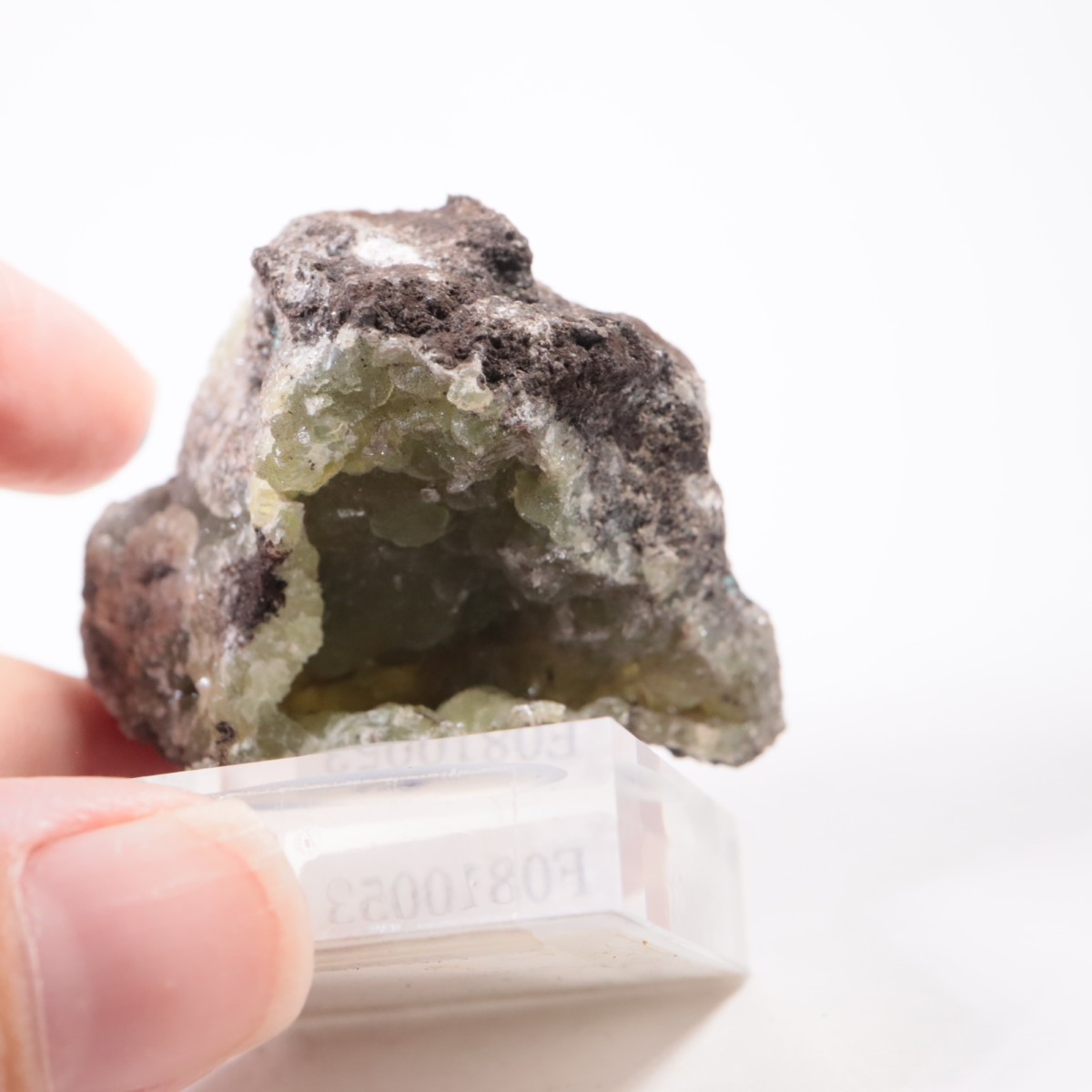 ���꥾�ʽ� ���ߥ��ʥ���